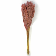 Wild reed plume Vinz 75cm light pink