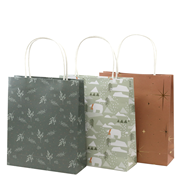 Sacs cadeaux multicolor assortis