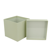 PURE Box L light green