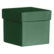 PURE Box M racing green